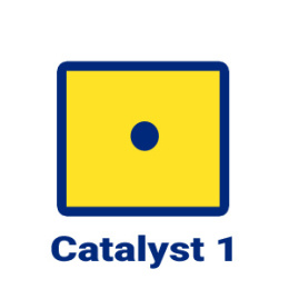 Subskrypcja Catalyst 1 (centymetrowa dokładność) - dostęp roczny