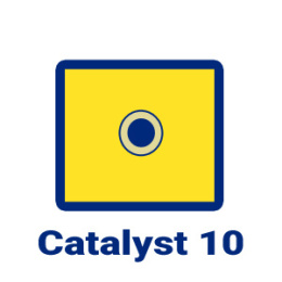 Subskrypcja Catalyst 10 - dostęp miesięczny