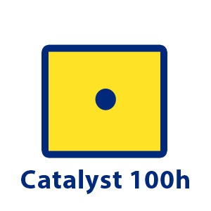 Subskrypcja Catalyst 100h - dostęp na żądanie