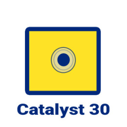 Subskrypcja Catalyst 30 - dostęp miesięczny